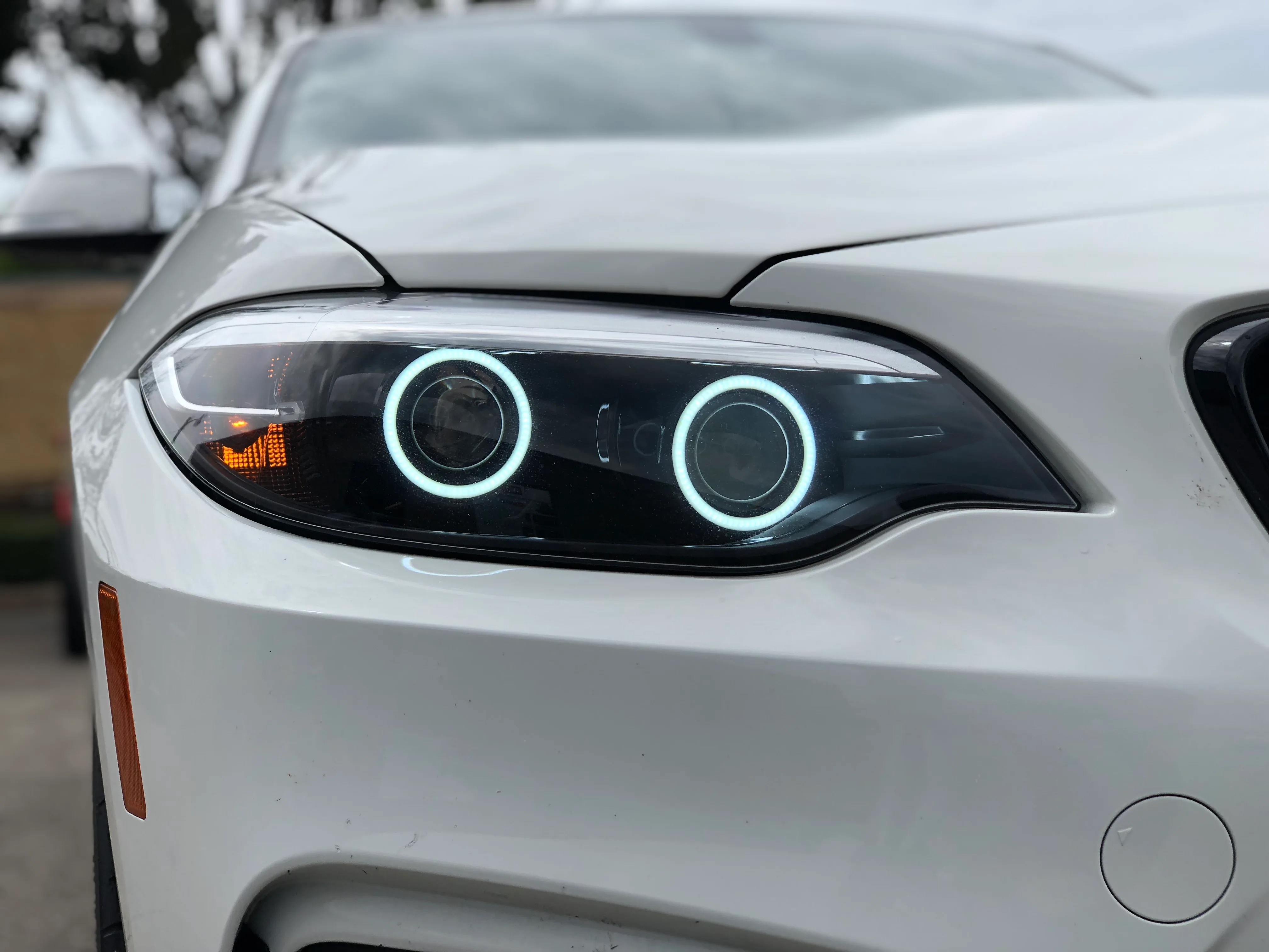 BMW Projector Halo Build